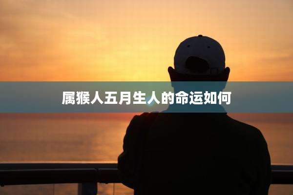 属猴人五月生人的命运如何