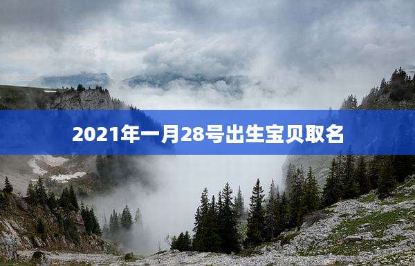 2021年一月28号出生宝贝取名