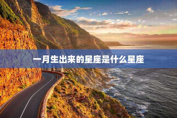一月生出来的星座是什么星座