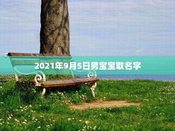 2021年9月5日男宝宝取名字