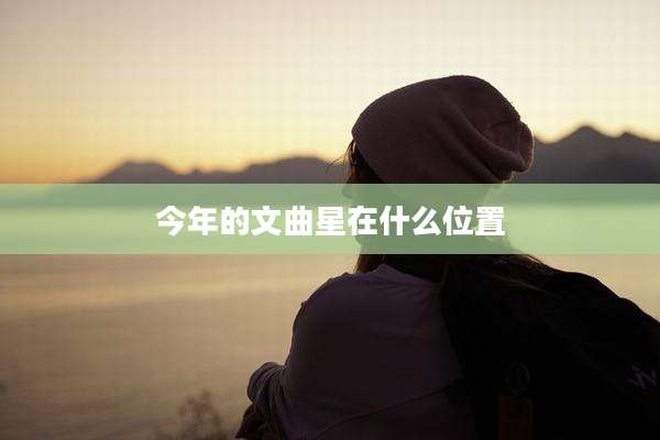 今年的文曲星在什么位置