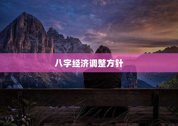 八字经济调整方针