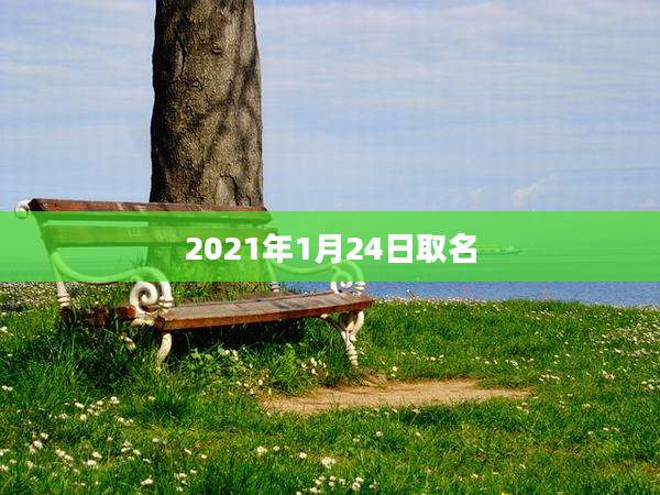 2021年1月24日取名