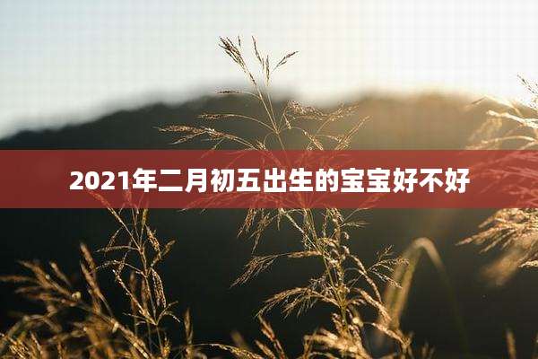 2021年二月初五出生的宝宝好不好