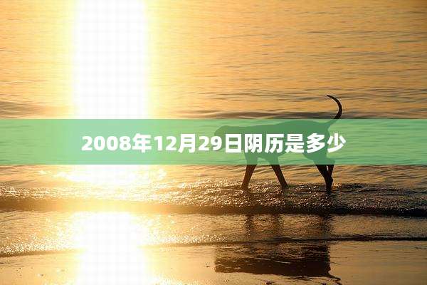 2008年12月29日阴历是多少