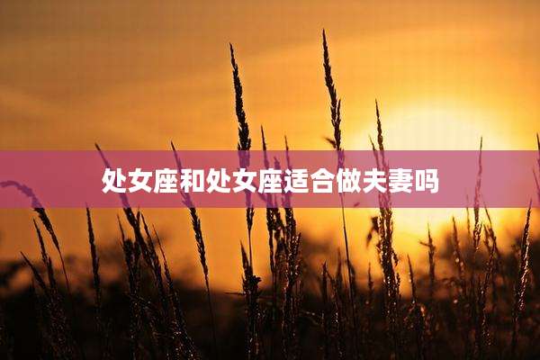 处女座和处女座适合做夫妻吗