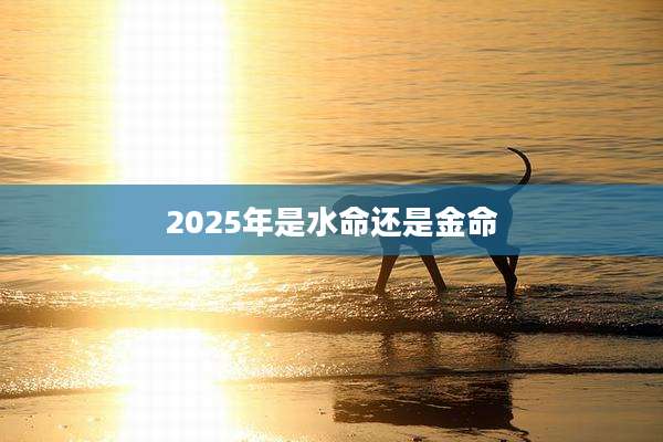 2025年是水命还是金命