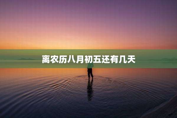 离农历八月初五还有几天