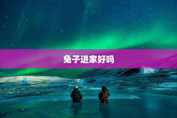 兔子进家好吗