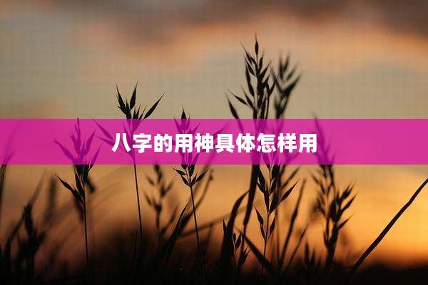 八字的用神具体怎样用