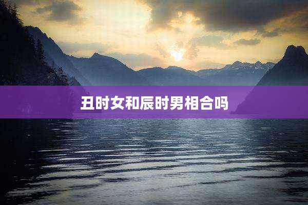 丑时女和辰时男相合吗