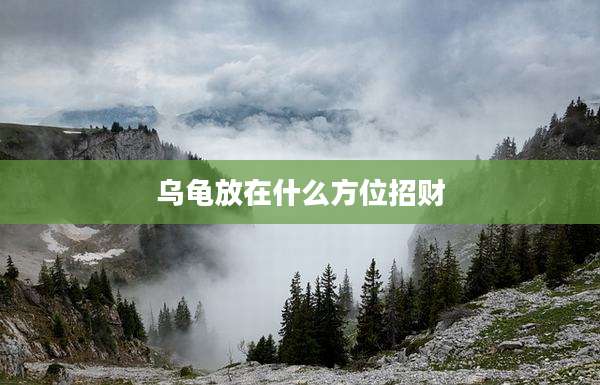 乌龟放在什么方位招财