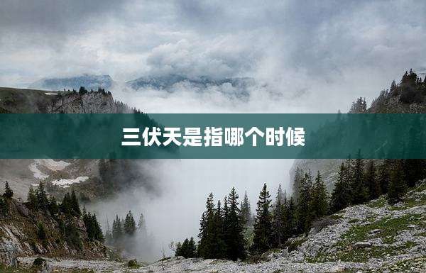 三伏天是指哪个时候