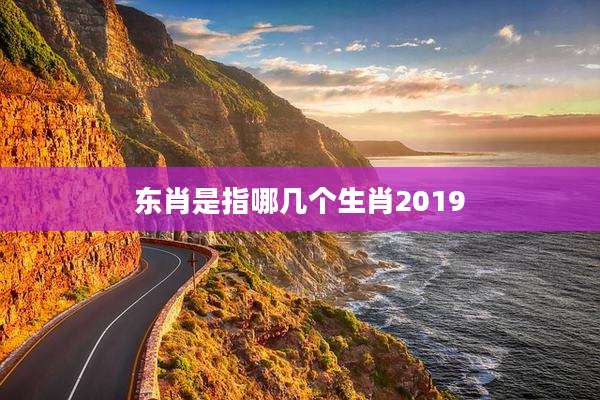 东肖是指哪几个生肖2019