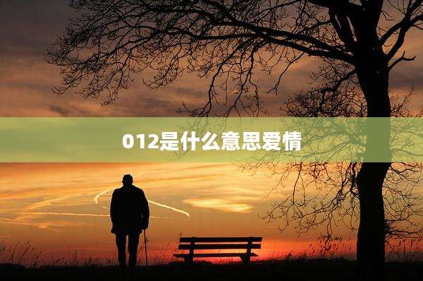 012是什么意思爱情