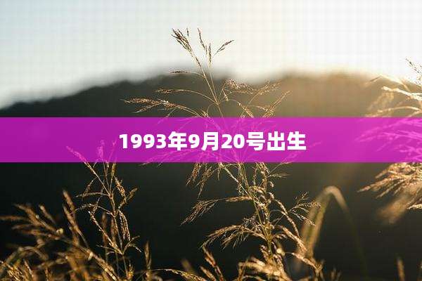 1993年9月20号出生