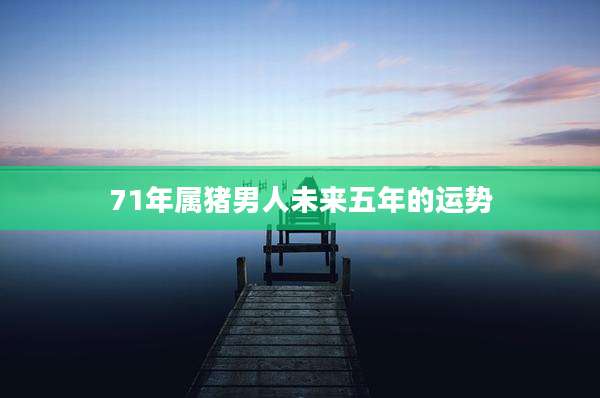 71年属猪男人未来五年的运势
