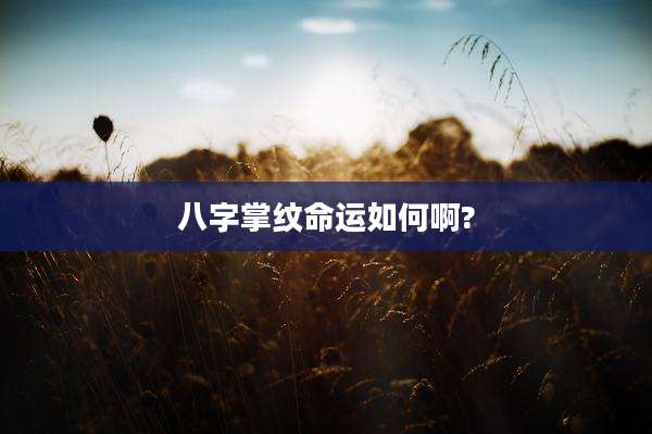 八字掌纹命运如何啊?