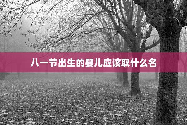 八一节出生的婴儿应该取什么名