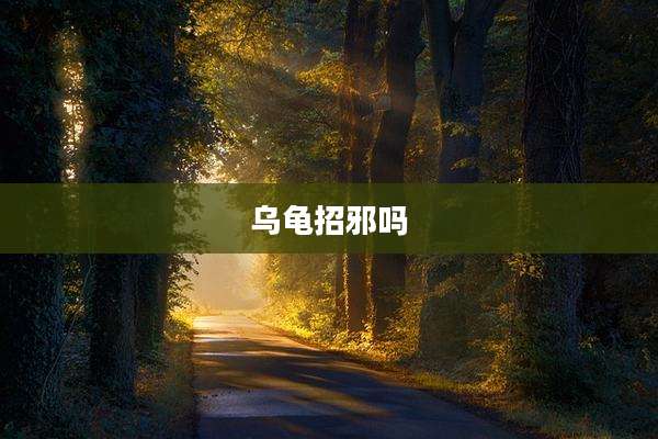 乌龟招邪吗
