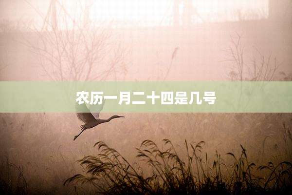 农历一月二十四是几号