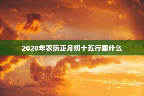2020年农历正月初十五行属什么