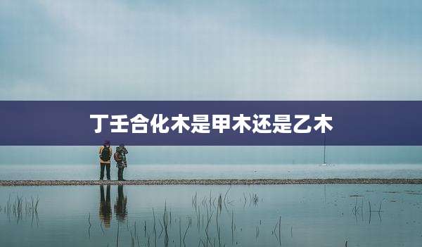 丁壬合化木是甲木还是乙木