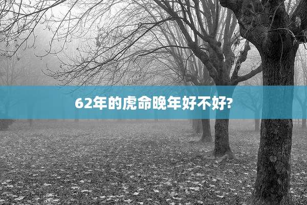 62年的虎命晚年好不好?