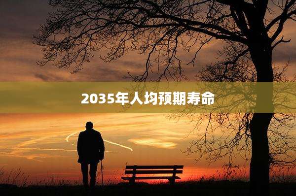 2035年人均预期寿命