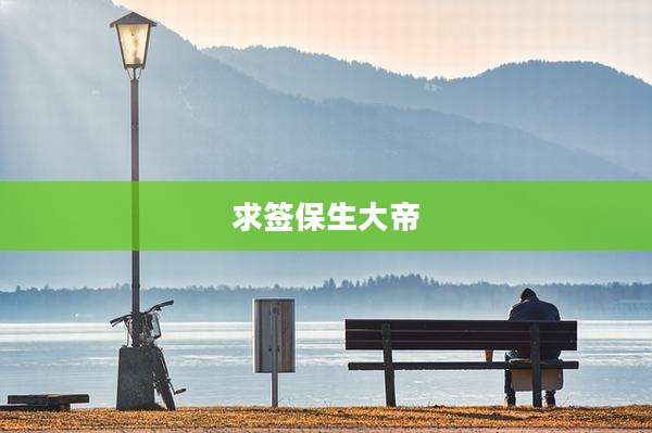 求签保生大帝