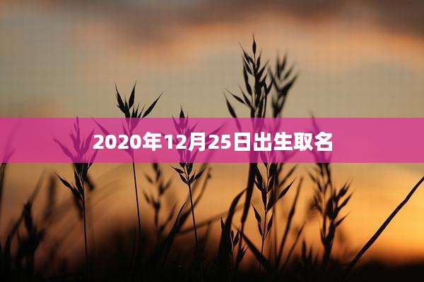 2020年12月25日出生取名
