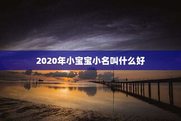 2020年小宝宝小名叫什么好