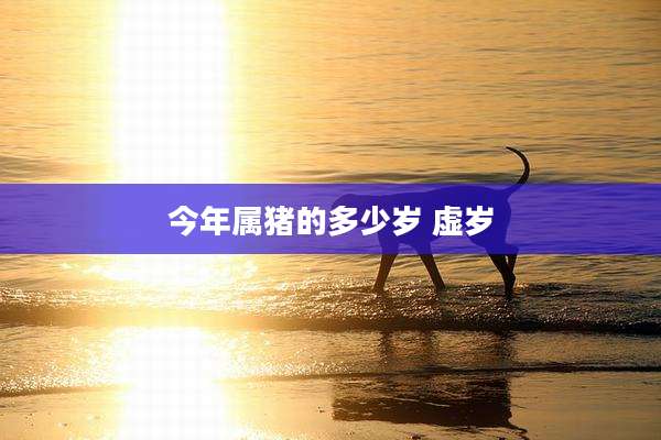 今年属猪的多少岁 虚岁
