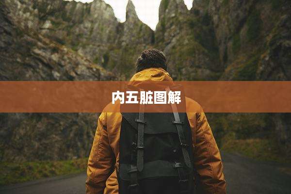 内五脏图解