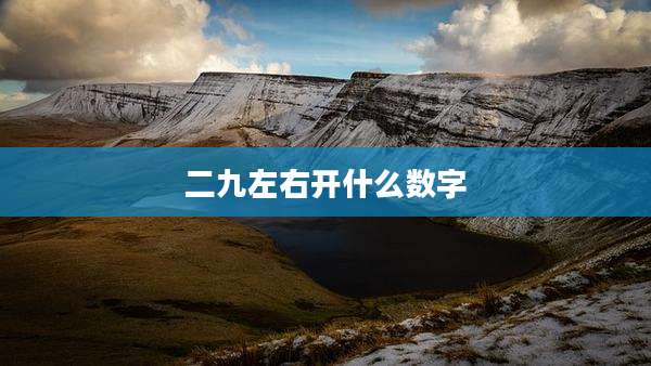 二九左右开什么数字