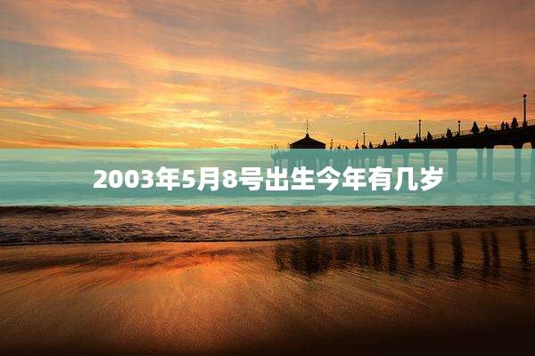2003年5月8号出生今年有几岁