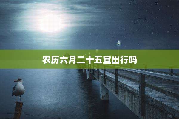 农历六月二十五宜出行吗