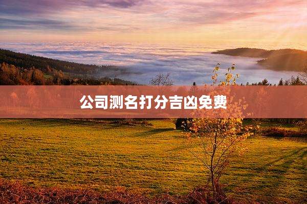 公司测名打分吉凶免费