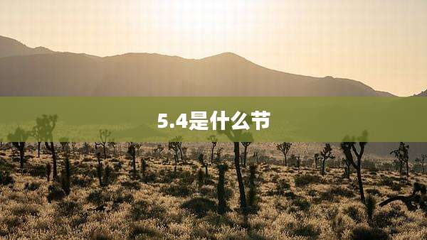 5.4是什么节