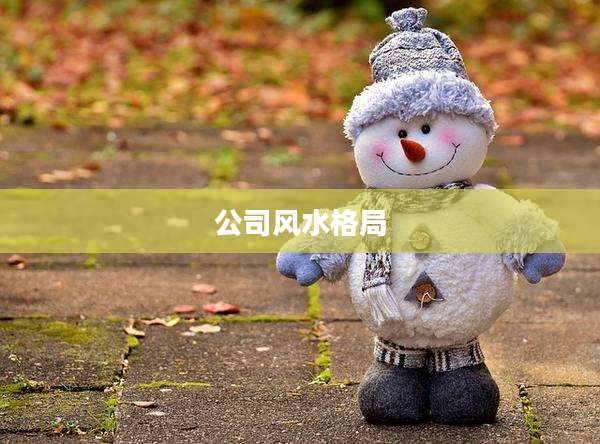 公司风水格局