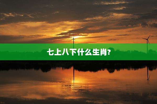 七上八下什么生肖?