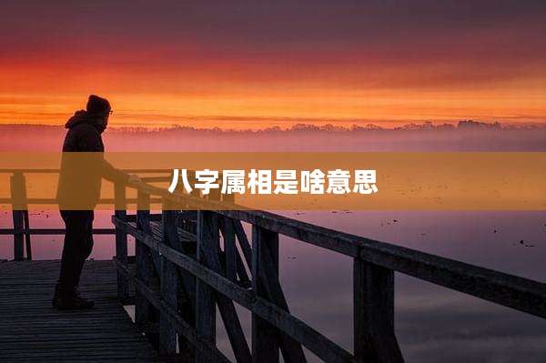 八字属相是啥意思