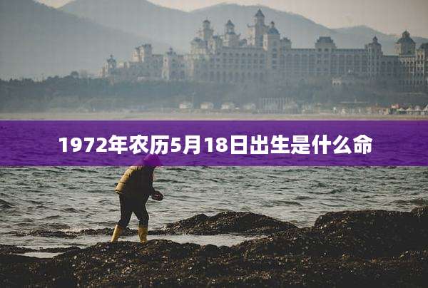 1972年农历5月18日出生是什么命