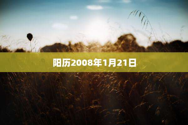 阳历2008年1月21日