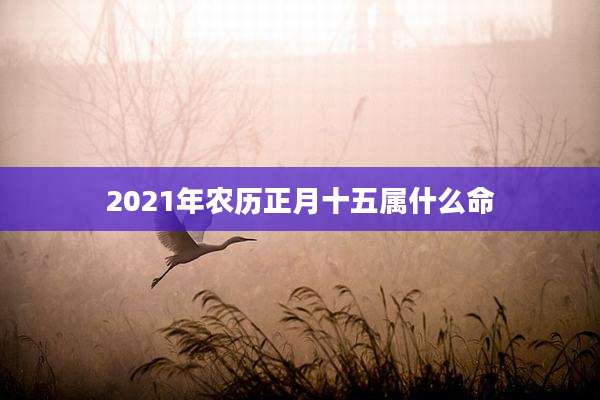 2021年农历正月十五属什么命