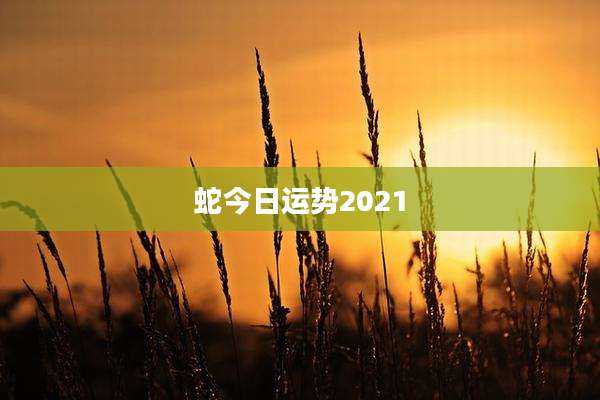 蛇今日运势2021