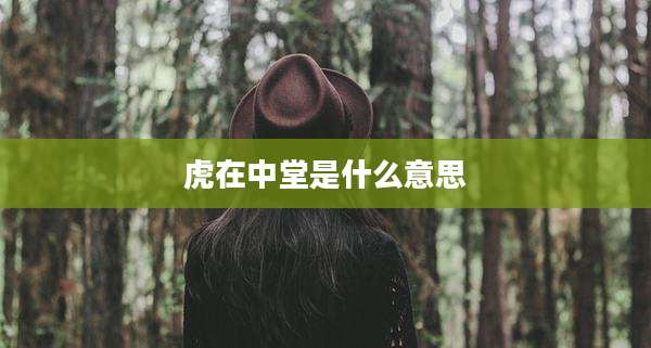 虎在中堂是什么意思