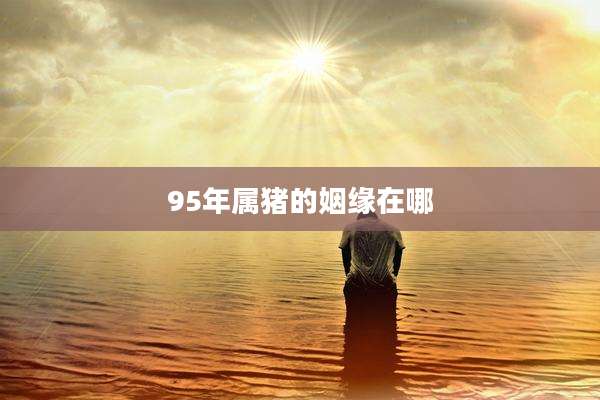 95年属猪的姻缘在哪