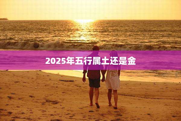 2025年五行属土还是金