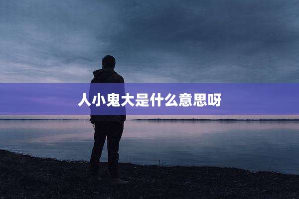 人小鬼大是什么意思呀